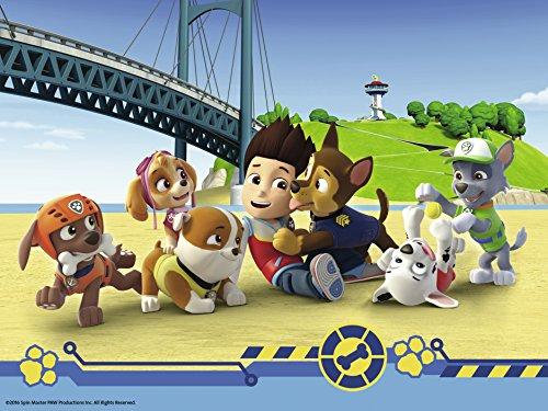 Ravensburger kubelių dėlionė „Šunyčiai patruliai“, 12 kubelių