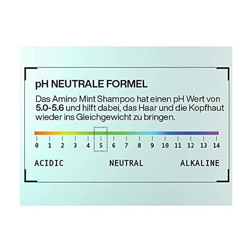 Redken Amino mėtinė šampūnas - 300 ml