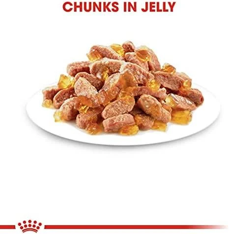 FHN Cat Kitten Instinctive Jelly 12x85 g