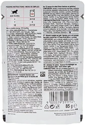 FHN Cat Kitten Instinctive Jelly 12x85 g