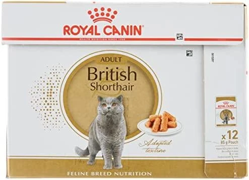 FBN Cat British Short Gravy 12x85 g