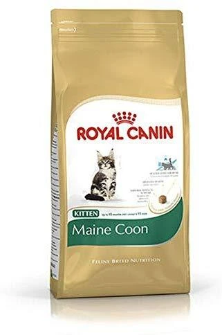 Royal Canin Maine Coon Kitten 4kg