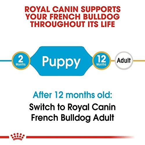 Royal Canin French Bulldog Junior 3kg