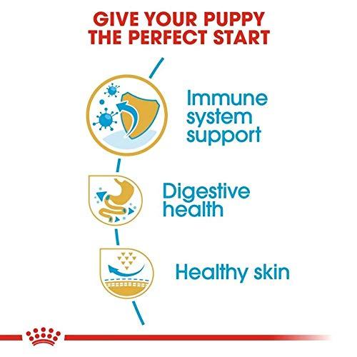 Royal Canin French Bulldog Junior 3kg