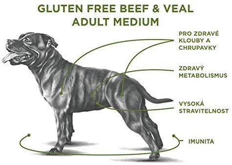 Sam's Field Adult Medium jautiena&Veal sausas Maistas šunims 13 kg