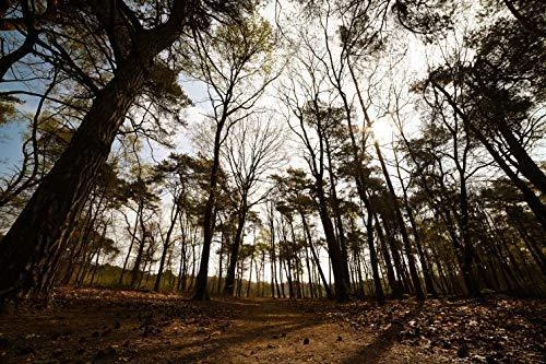 Objektyvas Samyang MF 14mm f/2.8 Nikon Z