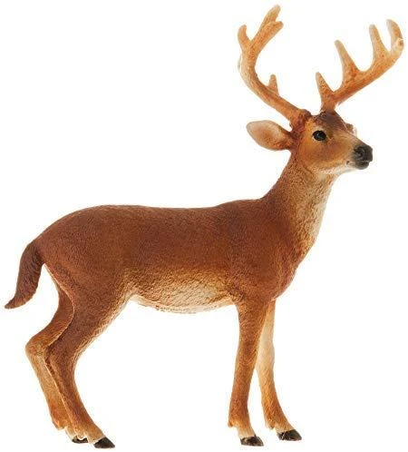 Schleich figūrėlė Baltauodegis elnias