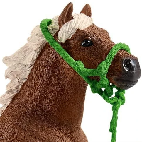 Schleich ponių įgūdžių lavinimo figūrėlė