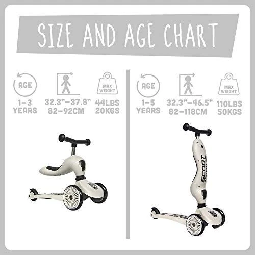 Paspirtukas - balansinis dviratukas Scoot & Ride Highwaykick 1 2in1 Ash 96268