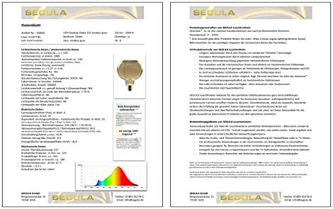 Segula LED Floating Globe 125 dymny pilka E27 6W 1900K dimm