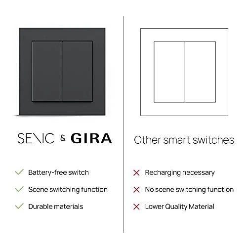 Plaukų džiovintuvas Senic Friends of Hue Smart Switch, jungiklis (baltas (blizgus))