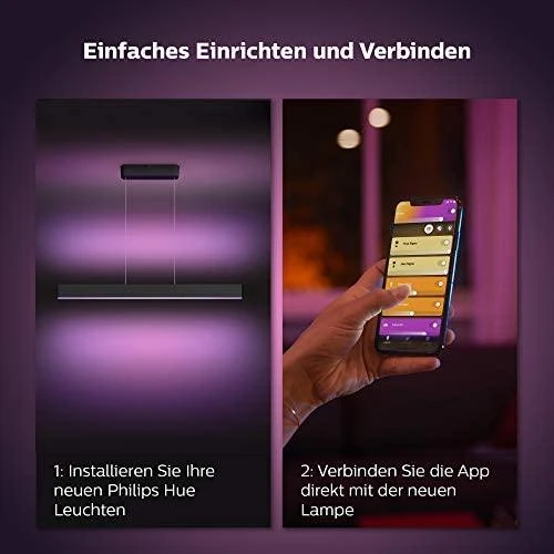 Pakabinamas šviestuvas Philips Hue Ensis pakabukas juodas 79W 24V | 79 W | Baltas ir Color Ambiance 2000-6500K