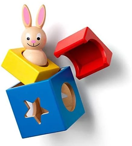 Loginis žaidimas SMART GAMES Bunny Boo
