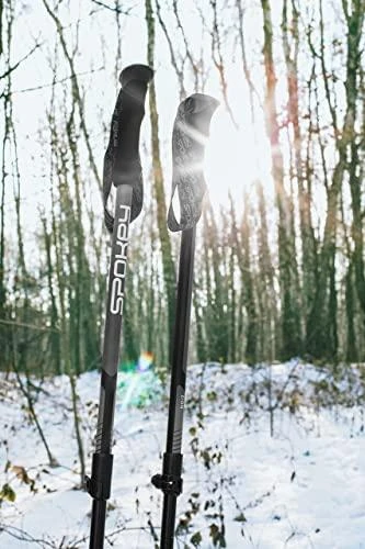 Trekingo lazdos Spokey Zion 929460, pilka/juoda
