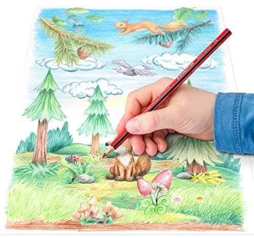 Staedtler - Noris spalvoti trikampiai spalvoti pieštukai, 36 vnt (187 CD36)