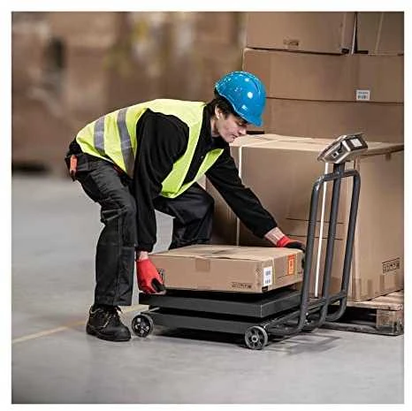 Steinberg Systems Pramoninės platforminės svarstyklės ant ratų 600 kg / 100 g LCD