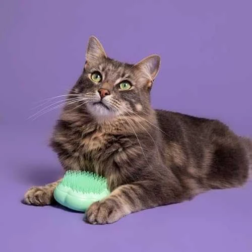 Tangle Teezer Katės Groomingo Šepetys Pet Teezer 1 Vnt