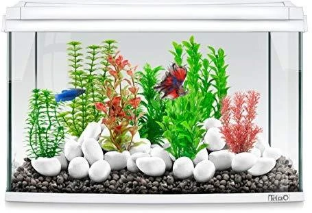Tetra DecoArt Augalas Gr Cabomba L