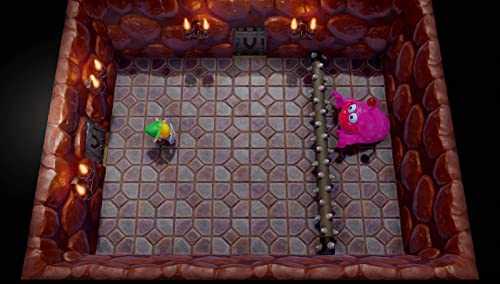 „Nintendo“ „Zelda legenda: Linko pabudimas“, „Nintendo Switch“