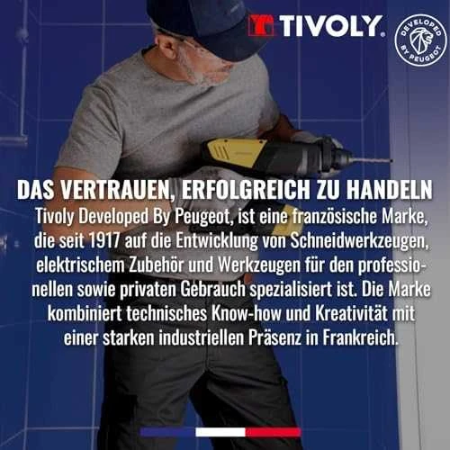 Grąžtas Tivoly nulūžusių varžtų ištraukiklių ir grąžtų rinkinys – 10 dalių:, varžtų ištraukikliai N1–N5 + TiN danga dengti HSS grąžtai Ø2,8–8 mm, trijų briaunų kotas, pilkos spalvos dėklas, (M3-M18 varžtams)