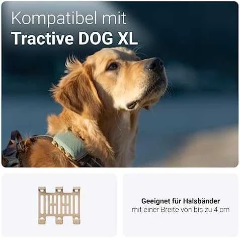Tractive DOG XL (TG4XL) – pakaitinis guminis segtukas