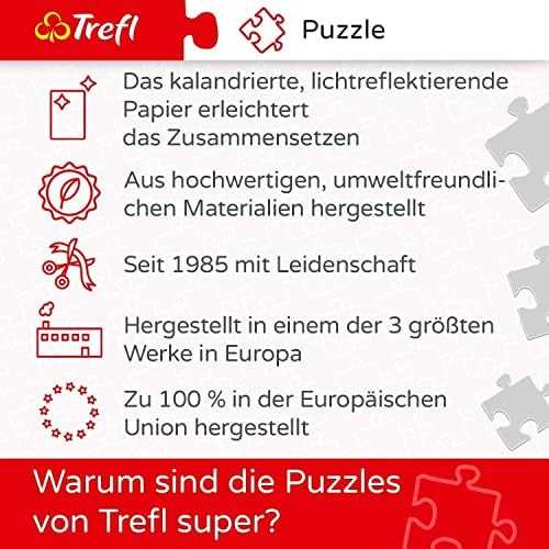 Trefl Dėlionė 6000 vnt. - Svajonės