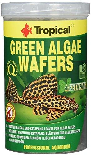 Tropical Žalias Algae Wafers 1000ml