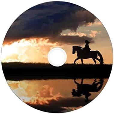 Verbatim 43703 neįrašytas DVD diskas 8,5 GB DVD-R 50 vnt