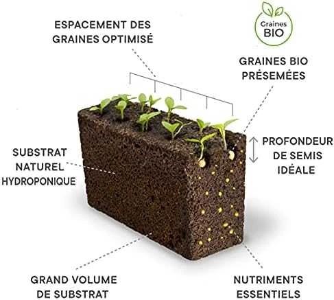 Véritable Lingot Raudona mini pipirai - EKOLOGIŠKI