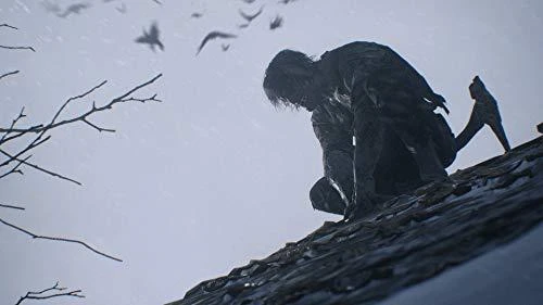Capcom Resident Evil 8 Village PS4