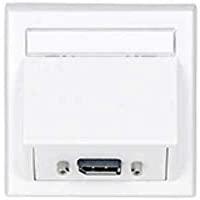 VivoLink WI221196 gniazdko elektryczne DisplayPort Baltas