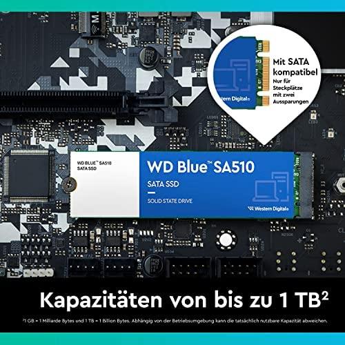 Sandisk WD Mėlyna SATA SSD M.2 250GB kietasis diskas