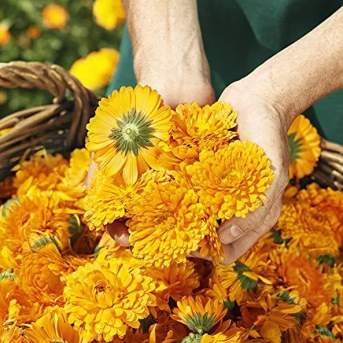 "Weleda" kreminė medetkų prausimosi priemonė kūdikiams 200ml