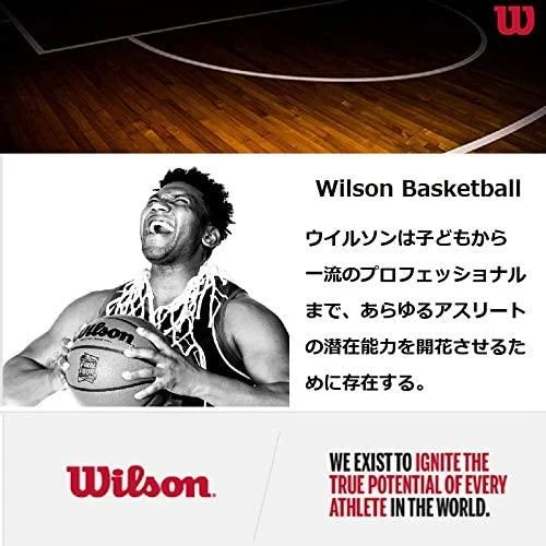 WILSON NBA FORGE TEAM MINI HOOP mini krepšinio lenta