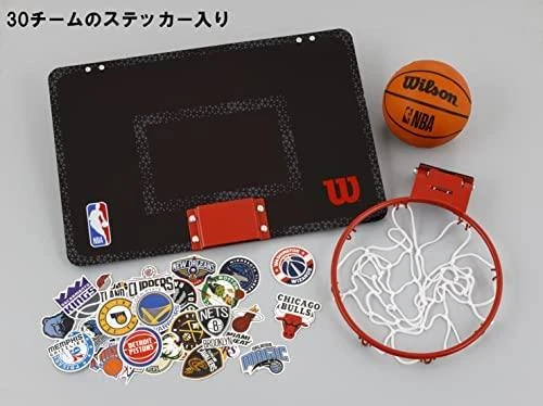 WILSON NBA FORGE TEAM MINI HOOP mini krepšinio lenta