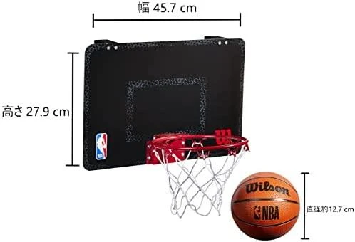 WILSON NBA FORGE TEAM MINI HOOP mini krepšinio lenta
