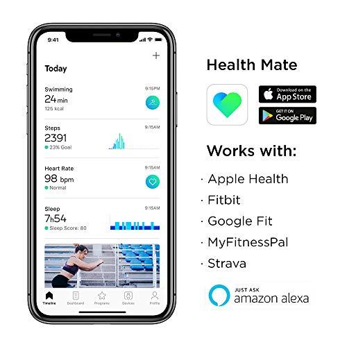 fitbit healthmate