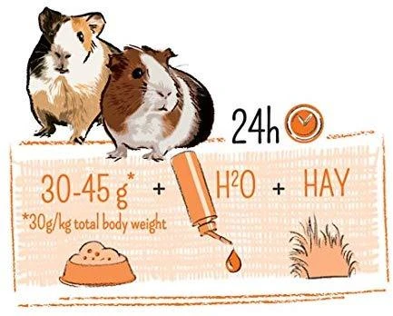 Witte Molen Puur Guinea Pig - kavai 700g