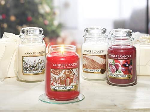 Yankee Candle Angel Wings Scented Candle, 623 g