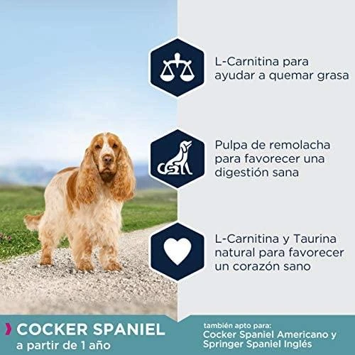 Eukanuba Adult Cocker Spaniel sausas maistas kokerspanieliams 7,5kg