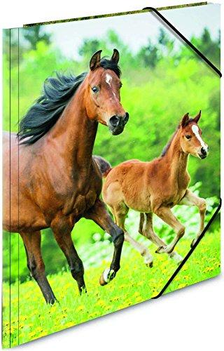 „Herma Folder A4“ (7140)
