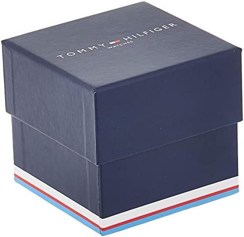 VYRIŠKAS LAIKRODIS TOMMY HILFIGER DAMON (zf008a)