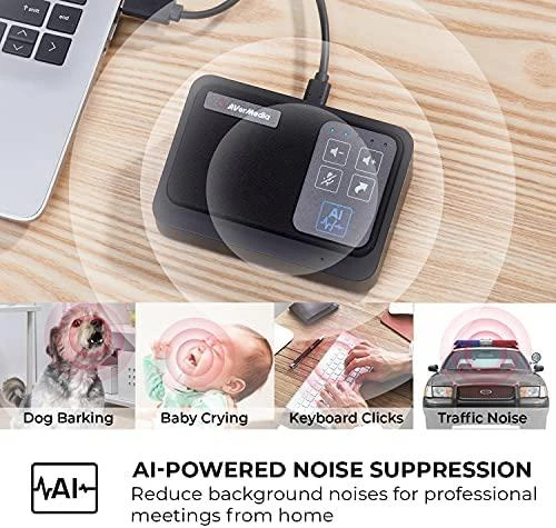 Mikrofonas AVerMedia Speakerphone (AS311)