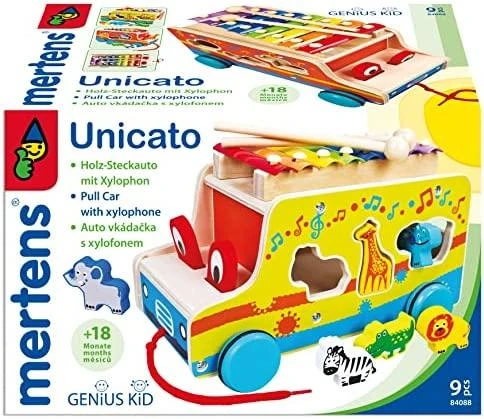 BINO Multifunkcinis žaislas su metalofonu