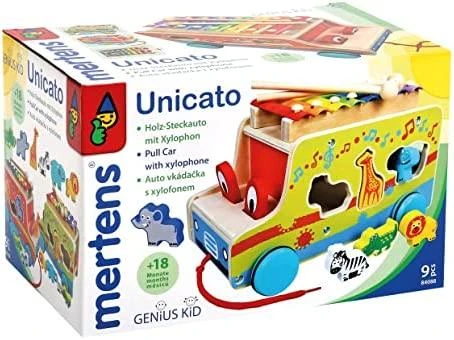 BINO Multifunkcinis žaislas su metalofonu