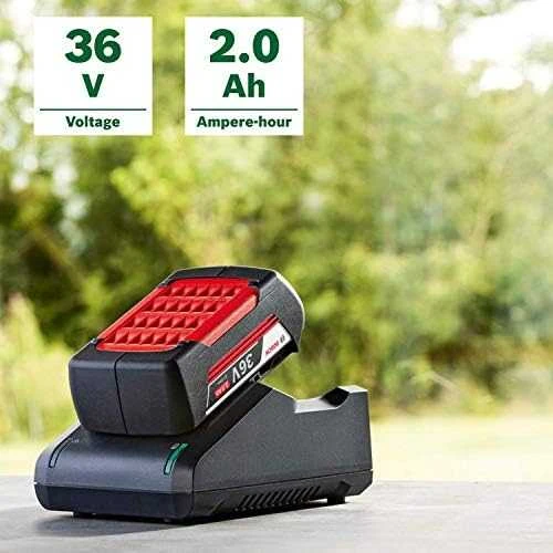 Bosch Starter SET 36 V 2Ah/ 2A Akum kroviklis 36V