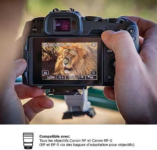 Canon EOS RP korpusas