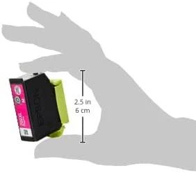 Epson Kiwi 202XL Originalus Rausvai raudona 1 vnt