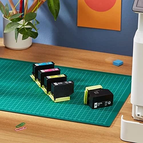 Epson Kiwi 202XL Originalus Juoda, Žydras, Rausvai raudona, Foto juoda, Geltona 1 vnt
