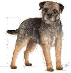 Royal Canin Adult Mini sterilizuota 3kg